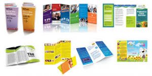 in catalogue giá rẻ